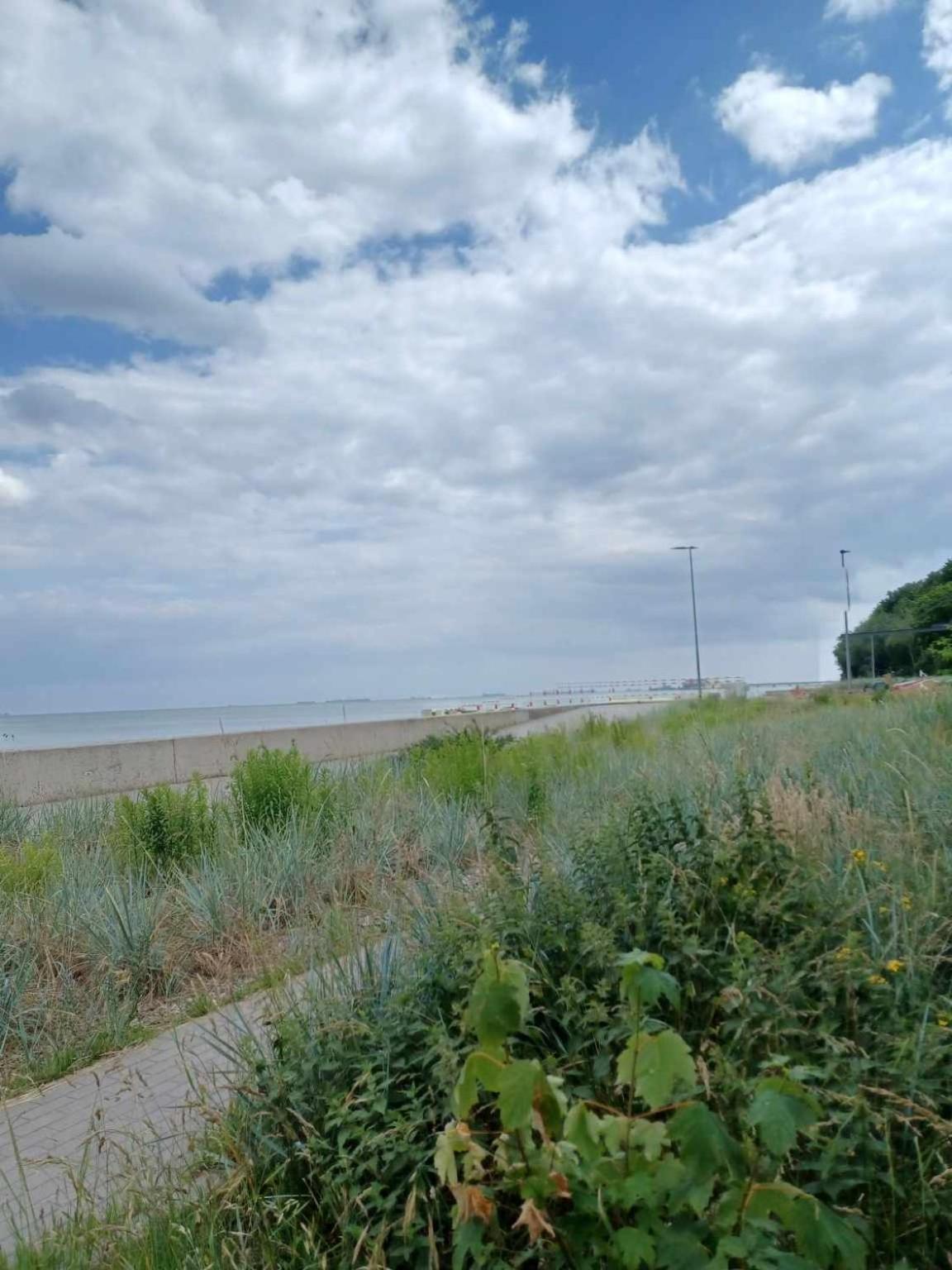 Domek Holenderski, Ogrod, Blisko Plazy, Gdynia Wakacje Na Luzie Zewnętrze zdjęcie